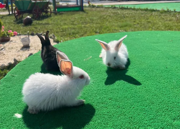 комплекс тополица -the Beautiful View Jaktstuga